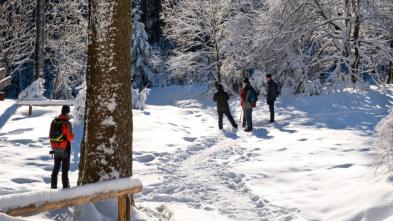 Hoschulewinterkurs