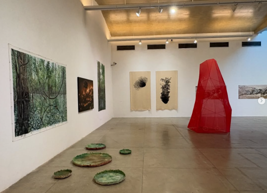 Foto de um grande salão de uma galeria de arte com piso cinza, paredes brancas, onde estão expostas pinturas e uma instalação. À esquerda, há quadros grandes com tons escuros, com cenas de florestas. No chão, há esculturas de folhas de vitória-régia. À direita, destaca-se uma armação com um tecido translúcido vermelho. Ao fundo, há obras em tecido com manchas pretas e uma obra à direita com tons de roxo.