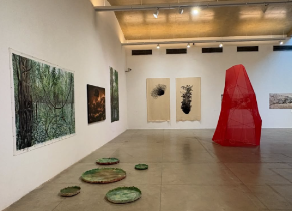 Foto de um grande salão de uma galeria de arte com piso cinza, paredes brancas, onde estão expostas pinturas e uma instalação. À esquerda, há quadros grandes com tons escuros, com cenas de florestas. No chão, há esculturas de folhas de vitória-régia. À direita, destaca-se uma armação com um tecido translúcido vermelho. Ao fundo, há obras em tecido com manchas pretas e uma obra à direita com tons de roxo.