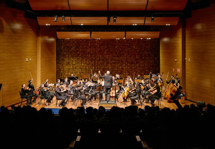 Foto de orquestra se apresentando em um palco de madeira, com o maestro ao centro, de costas para o público, regendo os músicos. As pessoas tocam violinos, violas, violoncelos e contrabaixos, todos vestidos de preto. Ao fundo, há uma parede com painéis de madeira. O público está em uma plateia escura de costas para a câmera.