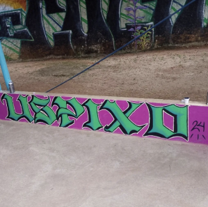 foto de uma mureta pintada em rosa choque com um grafite da palavra Uspixo em verde. A mureta divide um piso de cimento e um canteiro de terra.