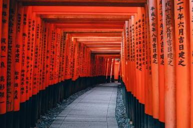 Pilares vermelhos com inscrição de kanjis pretos, formando um túnel em templo xintoísta