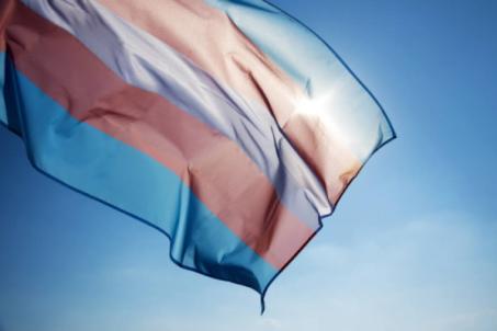 Foto de uma bandeira tremulando em um céu azul. A bandeira é formada por listras horizontais, nas cores, azul, rosa e branco.