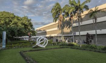 Foto da parte da frente da Escola de Comunicações e Artes. É possível ver, ao fundo, o prédio central. À frente dele, há 5 palmeiras. O chão é um grande gramado, e no meio dele há uma escultura de aros brancos entrelaçados. Na lateral esquerda da imagem, está a placa que informa o nome do instituto. Atrás dela, há uma árvore.