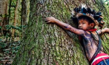 Foto de um menino indígena abraçando uma árvore. Ele usa roupas, adereços e pinturas típicos. Faz um gesto de abraço, porém não consegue envolver toda a árvore, já que ela possui um diâmetro muito grande. Ao fundo, encontra-se uma mata. 