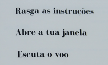 Página do livro 32 Instruções para Escutar (n)a Pandemia. Em um fundo cinza, está escrito em preto, em três linhas, a seguinte poesia: Rasga as instruções. Abre a tua janela. Escuta o voo.