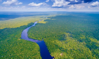 Foto de floresta vista de cima, cortada por um rio que segue do primeiro plano até o fundo da imagem. O céu é azul com nuvens. 