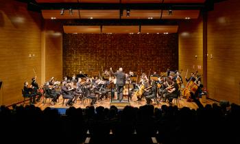 Foto de orquestra se apresentando em um palco de madeira, com o maestro ao centro, de costas para o público, regendo os músicos. As pessoas tocam violinos, violas, violoncelos e contrabaixos, todos vestidos de preto. Ao fundo, há uma parede com painéis de madeira. O público está em uma plateia escura de costas para a câmera.