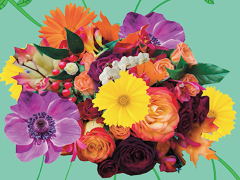 Colagem digital de diversas flores coloridas, com predominância dos tons laranja, amarelo e roxo, sobre um fundo verde-água.