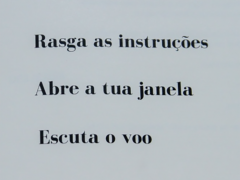 Página do livro 32 Instruções para Escutar (n)a Pandemia. Em um fundo cinza, está escrito em preto, em três linhas, a seguinte poesia: Rasga as instruções. Abre a tua janela. Escuta o voo.