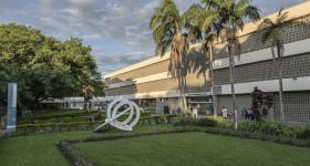 Foto da parte da frente da Escola de Comunicações e Artes. É possível ver, ao fundo, o prédio central. À frente dele, há 5 palmeiras. O chão é um grande gramado, e no meio dele há uma escultura de aros brancos entrelaçados. Na lateral esquerda da imagem, está a placa que informa o nome do instituto. Atrás dela, há uma árvore.