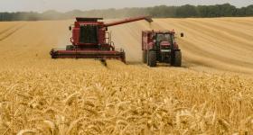Uma colheitadeira vermelha passa por um extenso campo de trigo, jogando os grãos em um caminhão também vermelho que a acompanha. Ao fundo, erguem-se árvores grandes de cor verde.