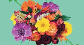 Colagem digital de diversas flores coloridas, com predominância dos tons laranja, amarelo e roxo, sobre um fundo verde-água.