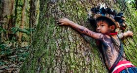 Foto de um menino indígena abraçando uma árvore. Ele usa roupas, adereços e pinturas típicos. Faz um gesto de abraço, porém não consegue envolver toda a árvore, já que ela possui um diâmetro muito grande. Ao fundo, encontra-se uma mata. 