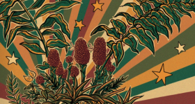 Ilustração, em tons de vinho, amarelo e verde,  de um arranjo com flores e folhas tropicais com estrelas de cinco pontas ao redor. O fundo é composto por listras em tons de vinho, amarelo e verde que partem da ilustração.