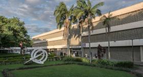 Foto da fachada do prédio central da ECA USP, em que há o prédio, algumas palmeiras em frente à entrada e um campo de grama na parte da frente, onde há uma instalação artística em destaque.