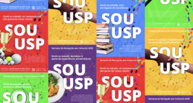 Imagem com diferentes cartazes coloridos em azul, vermelho, verde, amarelo e roxo. Todos tem a frase “SOU USP” escritas no meio em grandes letras brancas. 